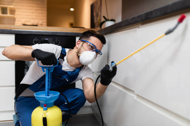 Best Pest Prevention Services  in Wilsonville, AL
