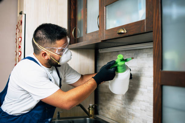 Best Cockroach Control Services  in Wilsonville, AL