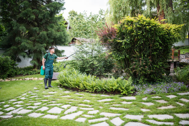 Best Pest Removal Services  in Wilsonville, AL