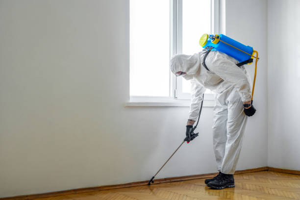 Best Emergency Pest Control  in Wilsonville, AL