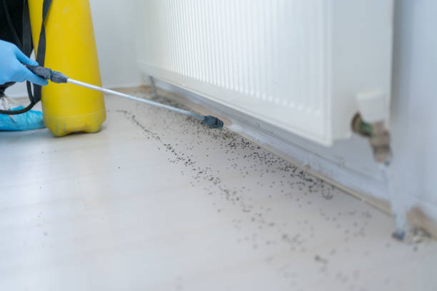 Best Pest Inspection Near Me  in Wilsonville, AL