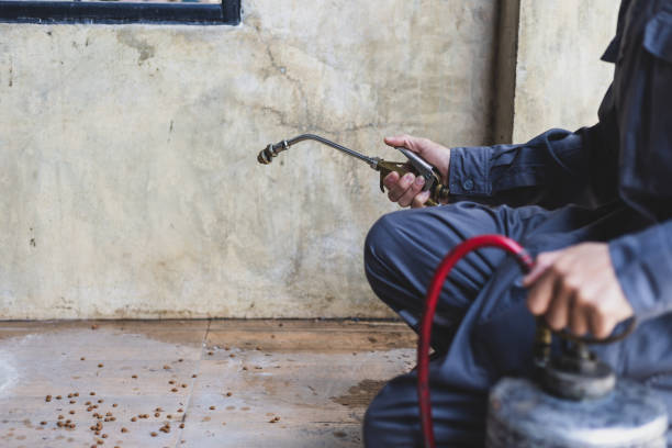 Best Flea Control Services  in Wilsonville, AL